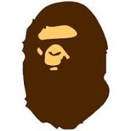 BAPE  Hoodie