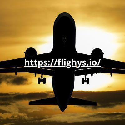 Flighys 012