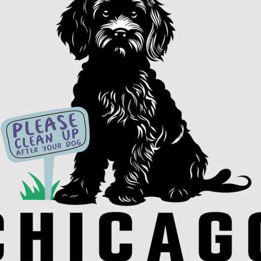 Chicago Dog Poop Chicago 