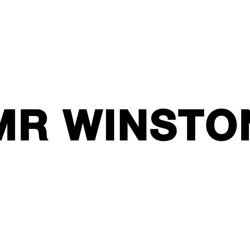 Mr  Winston