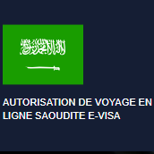 Saudielectronic Visa