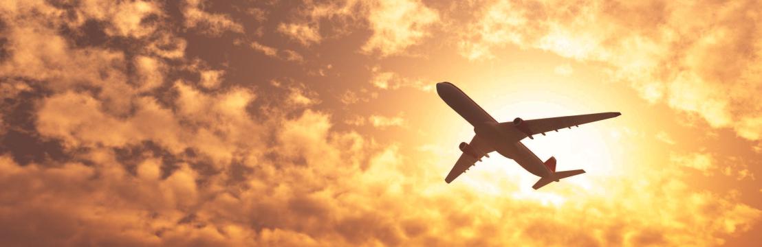 Aerofly Ticket